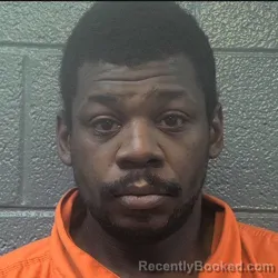 Mugshot of DEMORRIS LEE WYATT booked in Danville County, Virginia on March 27, 2026