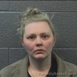 Mugshot of Joni Leigh Aviles booked in Danville County, Virginia on March 28, 2026