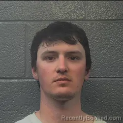 Mugshot of ETHAN TAYLOR STRATTON booked in Danville County, Virginia on March 29, 2026