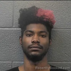 Mugshot of DEMARCUS SETTLES booked in Danville County, Virginia on March 31, 2026