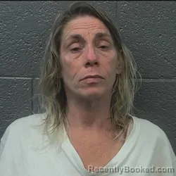 Mugshot of AMANDA DIANNE GIBSON booked in Danville County, Virginia on April 1, 2026