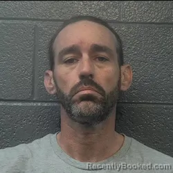 Mugshot of Jamie Lee Showalter booked in Danville County, Virginia on April 3, 2026