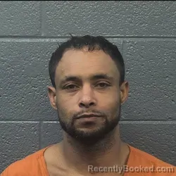 Mugshot of DUSTIN DEWAYNE WISHNEVSKY booked in Danville County, Virginia on April 4, 2026