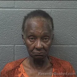 Mugshot of Constance Elizabeth Jackson booked in Danville County, Virginia on April 5, 2026
