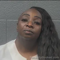 Mugshot of SHERYL LYNN HUGHES booked in Danville County, Virginia on April 5, 2026