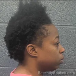 Mugshot of SHANIQUE NICOLE CHILDRESS booked in Danville County, Virginia on April 17, 2026