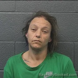 Mugshot of AMY LYNN TOMAN booked in Danville County, Virginia on April 24, 2026