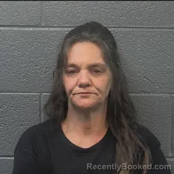 Mugshot of CHRISTINA TALLEY MULLINS booked in Danville County, Virginia on April 24, 2026