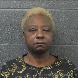 Mugshot of LISA MICHELLE MASON booked in Danville County, Virginia on April 24, 2026