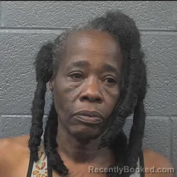 Mugshot of YVONNE ROBERTSON booked in Danville County, Virginia on May 14, 2026