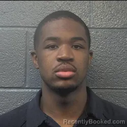 Mugshot of TAMARIONE LAMARKESE WALDEN booked in Danville County, Virginia on May 15, 2026
