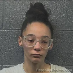 Mugshot of ALEXANDRIA Lynn FRANKLIN booked in Danville County, Virginia on May 19, 2026