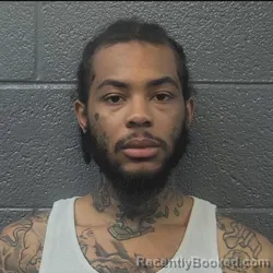 Mugshot of Jayvian Amari Davis booked in Danville County, Virginia on May 20, 2026