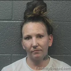 Mugshot of ASHLEY NICOLE VONCANNON booked in Danville County, Virginia on May 20, 2026
