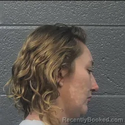 Mugshot of JESSI LEA CREWS booked in Danville County, Virginia on May 22, 2026
