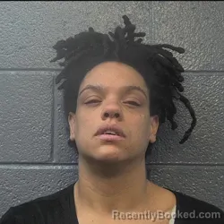Mugshot of ANGELA NICOLE APPERSON booked in Danville County, Virginia on May 23, 2026