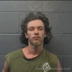 Booking photo from Danville County, Virginia
