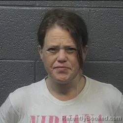 Booking photo from Danville County, Virginia