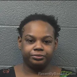 Mugshot of DESIREE ANTIONETTE WHIPPLE booked in Danville County, Virginia on May 29, 2026