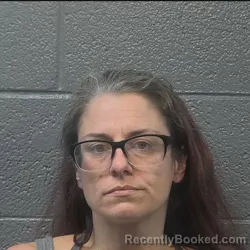 Mugshot of KRISTEN ASHLEY TERRY booked in Danville County, Virginia on June 2, 2026