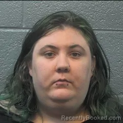 Mugshot of Autumn Renea Favreau booked in Danville County, Virginia on June 10, 2026