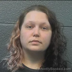 Mugshot of Shawna Marie Oshinski booked in Danville County, Virginia on June 10, 2026