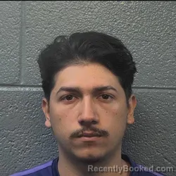 Mugshot of ROLANDOLAUI JAVIER FERRERA BORJAS booked in Danville County, Virginia on June 11, 2026