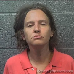 Mugshot of Crystal Gayle Clayton booked in Danville County, Virginia on June 25, 2026