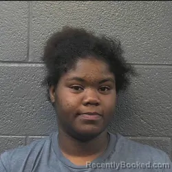Mugshot of ESSENCE VANTASHA STOKES booked in Danville County, Virginia on July 7, 2026