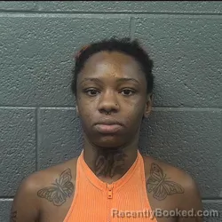 Mugshot of LESHEA DIAMOND IRVIN booked in Danville County, Virginia on July 7, 2026