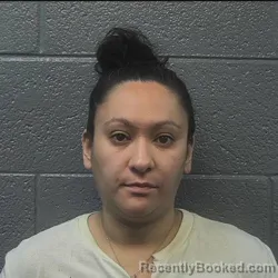Mugshot of Ashley Michelle Pizzino booked in Danville County, Virginia on July 9, 2026