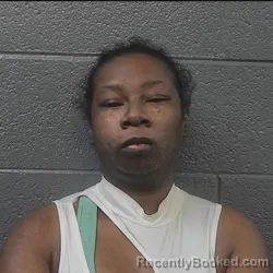 Mugshot of DOROTHEY DARLENE HARRIS booked in Danville County, Virginia on July 9, 2026