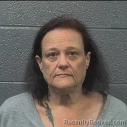 Mugshot of Shelly Lynn Robinson booked in Danville County, Virginia on July 11, 2026