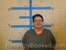 Mugshot of Karen Sioux Brown Bull - Porter booked in Oglala Lakota County, South Dakota on August 2, 2026