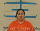 Mugshot of TAMMY RAE JANIS booked in Oglala Lakota County, South Dakota on April 18, 2026