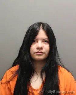 Mugshot of ALEXZANDRA AVITIA booked in Hockley County, Texas on June 12, 2026