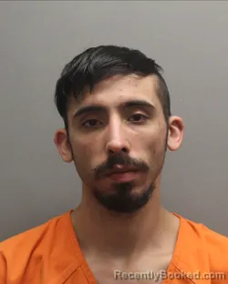 Mugshot of JAMES DYLLAN BRIDGES