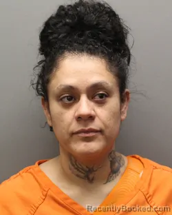 Mugshot of AMEE ANN CISNEROS booked in Hockley County, Texas on June 4, 2026