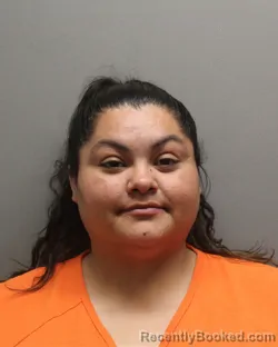 Mugshot of JUANITA EVETTE CHAVEZ booked in Hockley County, Texas on March 25, 2026