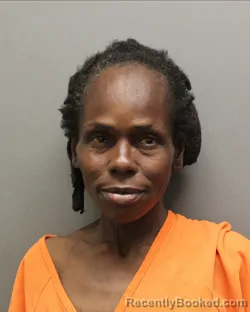 Mugshot of PENNY RENE HALL DIAZ booked in Hockley County, Texas on July 28, 2026