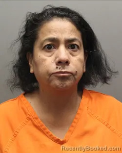 Mugshot of JUANA DE LA CRUZ ESTRADA booked in Hockley County, Texas on March 16, 2026