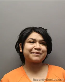 Mugshot of Angela Fallis booked in Hockley County, Texas on August 7, 2026