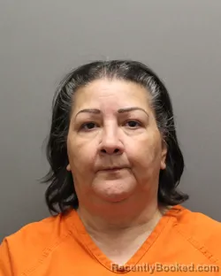 Mugshot of CRISTELIA FLORES booked in Hockley County, Texas on July 7, 2026