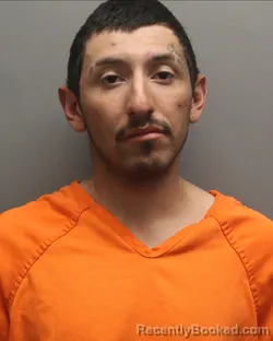Mugshot of LUIS ANTONIO FLORES