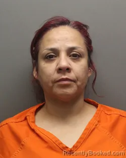 Mugshot of BELEN GARCIA