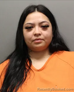 Mugshot of Desiree Nicole Garcia booked in Hockley County, Texas on August 6, 2026