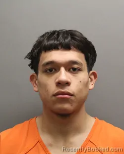 Mugshot of GABERIEL VALINTINE HERANDEZ