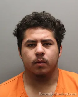 Mugshot of ISAIAH HINOJOSA booked in Hockley County, Texas on April 26, 2026