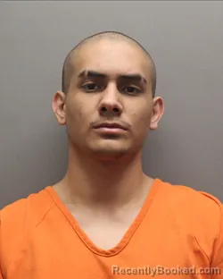 Mugshot of JOAN HERNANDEZ