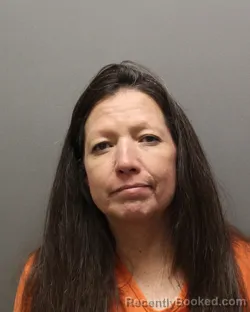 Mugshot of PATRICIA HERNANDEZ booked in Hockley County, Texas on July 15, 2026